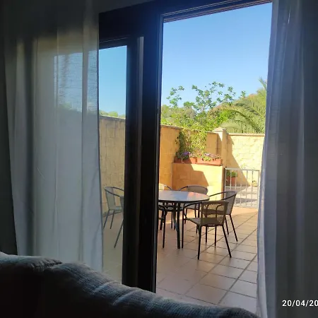 Cipreses Córdoba